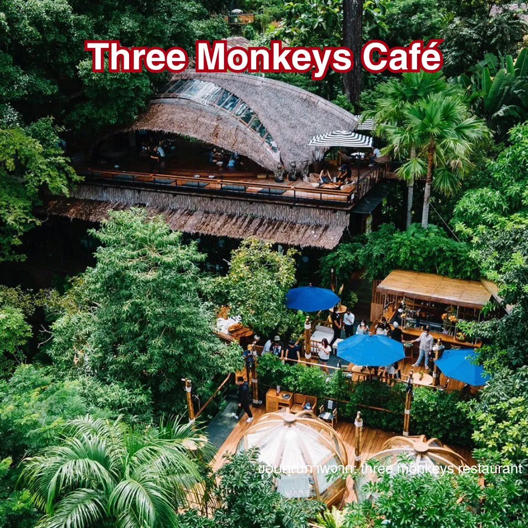 รูปร้าน Three Monkeys Café Phuket