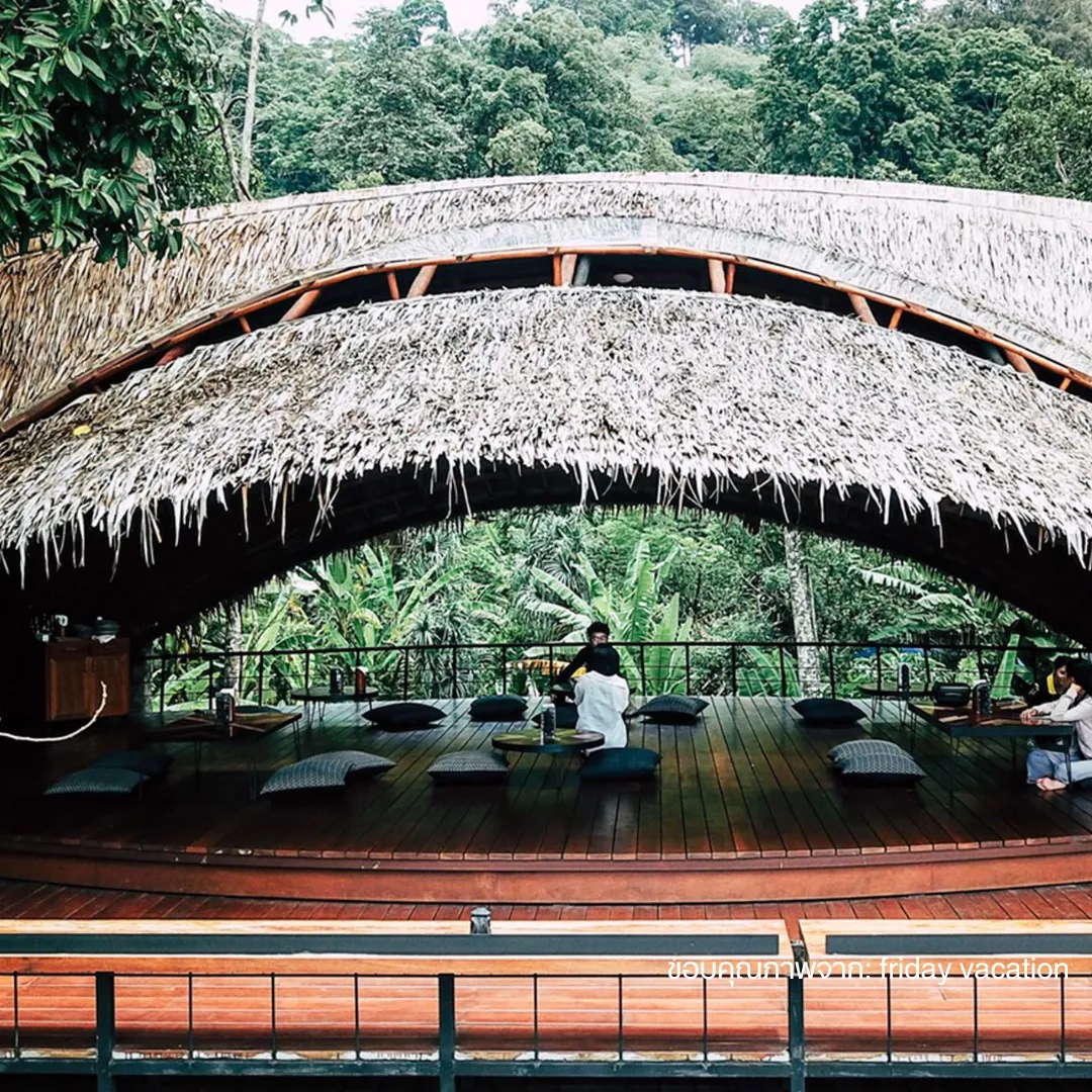 บรรยากาศธรรมชาติ Three Monkeys Café
