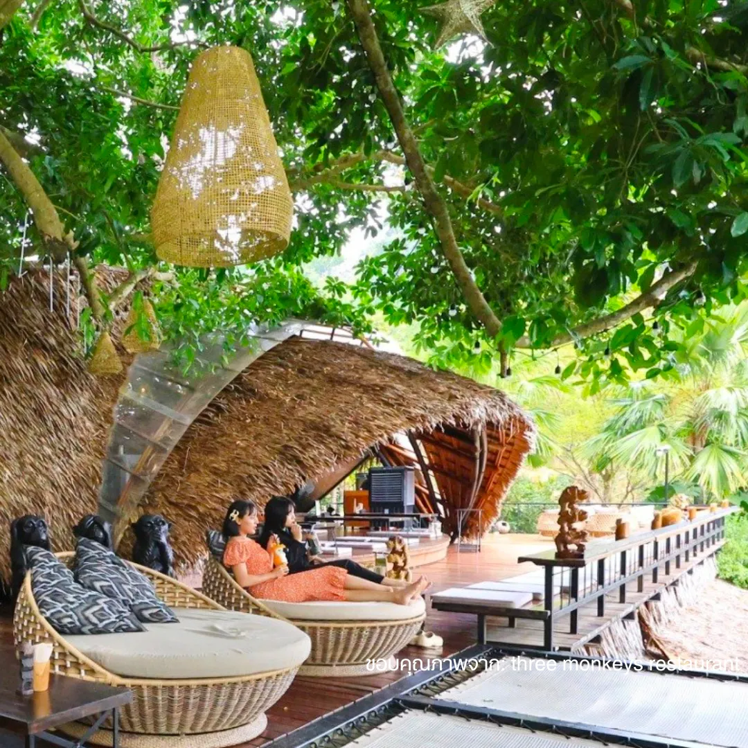 สะพานไม้กลางป่า Three Monkeys Café