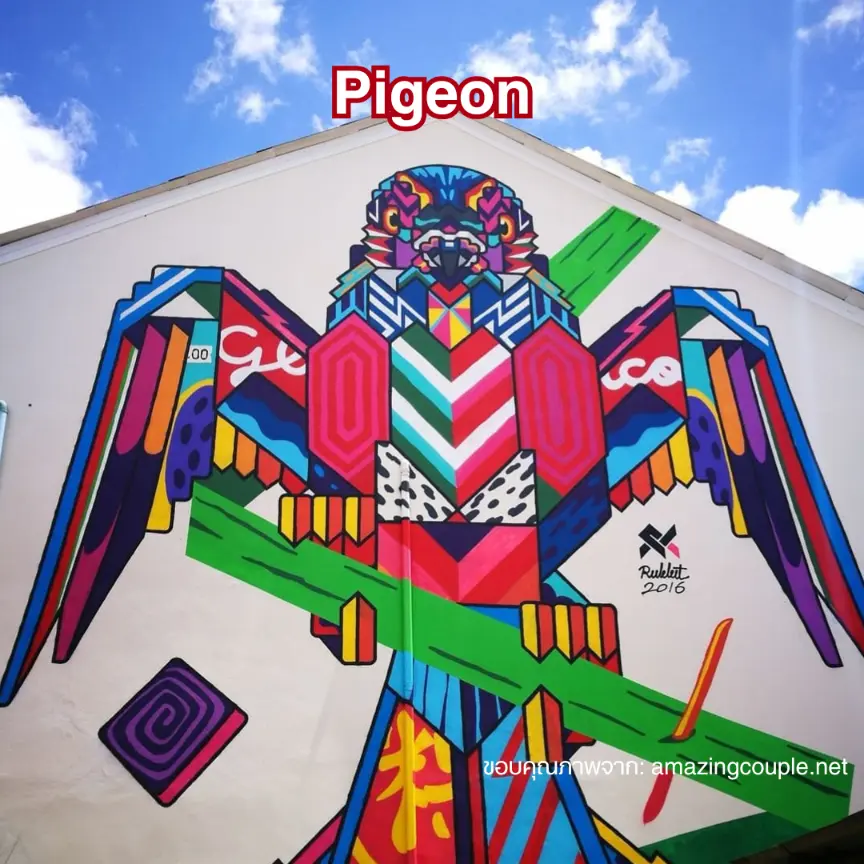 จุดถ่ายรูปภูเก็ต: Pigeon โดย Rukkit ย่านถลาง–ซอยรมณีย์