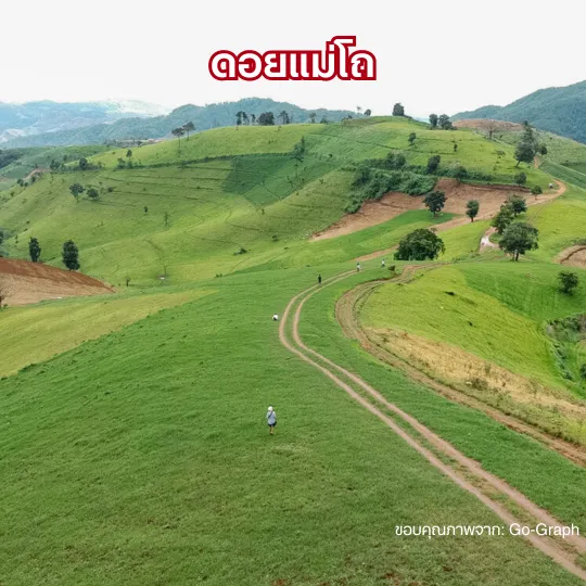 ดอยแม่โถ ทุ่งหญ้าสะวันนา ที่เที่ยวดอยเชียงใหม่หน้าหนาว