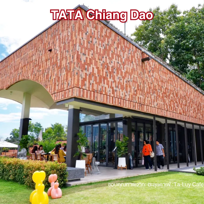 ร้าน TATA Chiang Dao