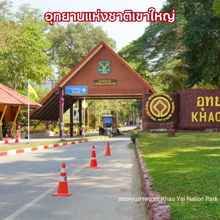 อุทยานแห่งชาติเขาใหญ่ จุดชมวิว ขับรถเที่ยวใกล้กรุงเทพ ธรรมชาติ