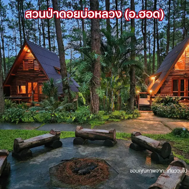สวนป่าดอยบ่อหลวง (อ.ฮอด)
