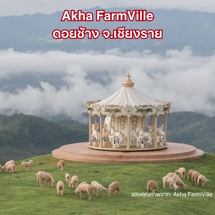 Akha FarmVille ดอยช้าง จ.เชียงราย