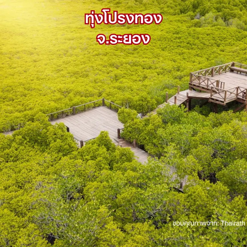 ทุ่งโปรงทอง จังหวัดระยอง