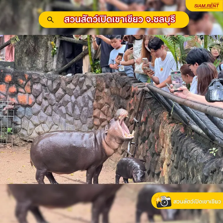 สวนสัตว์เปิดเขาเขียว จ.ชลบุรี