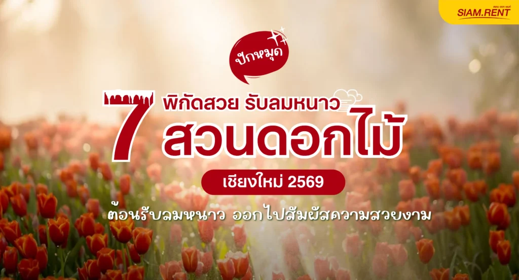 ปักหมุด 7 พิกัดสวย รับลมหนาว สวนดอกไม้ เชียงใหม่ ล่าสุด 2569