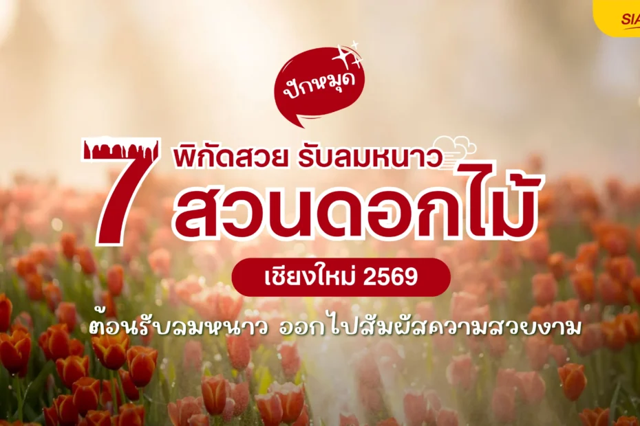 ปักหมุด 7 พิกัดสวย รับลมหนาว สวนดอกไม้ เชียงใหม่ ล่าสุด 2569