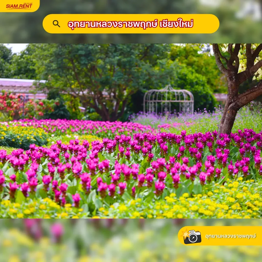 อุทยานหลวงราชพฤกษ์ เชียงใหม่
