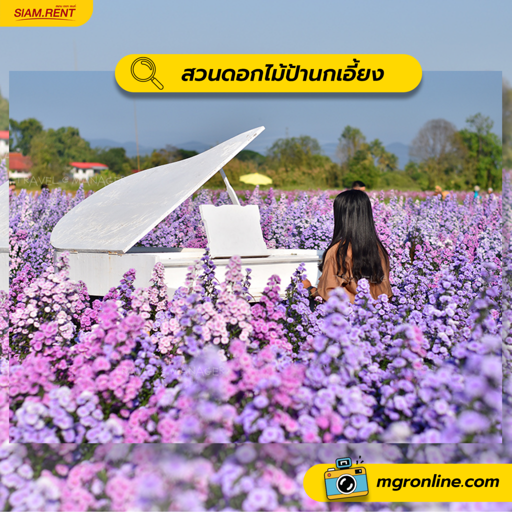 สวนดอกไม้ป้านกเอี้ยง