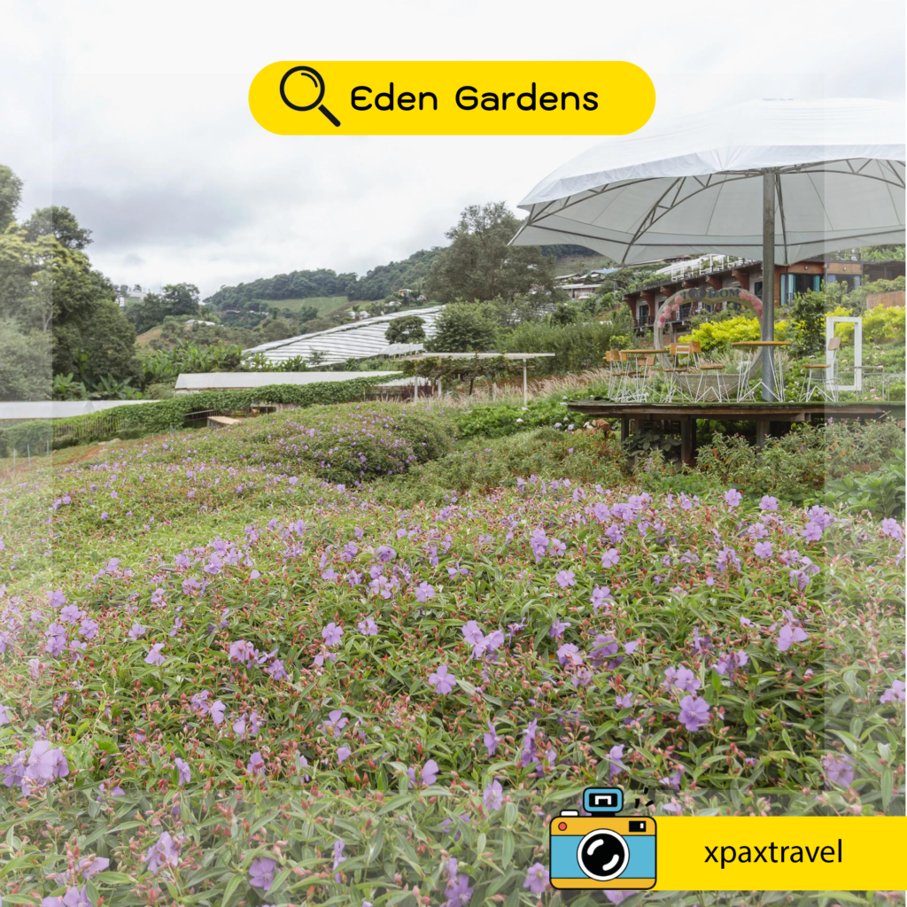 Eden Gardens